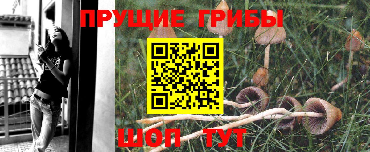 купить наркоту  Вход с VPN  Нефтекамск  Псилоцибиновые грибы MAGIC MUSHROOMS 